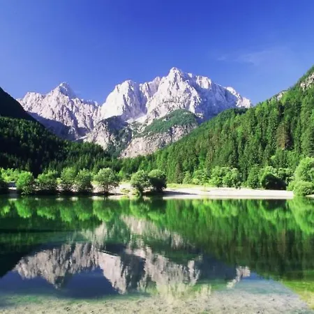 Arpa Любляна